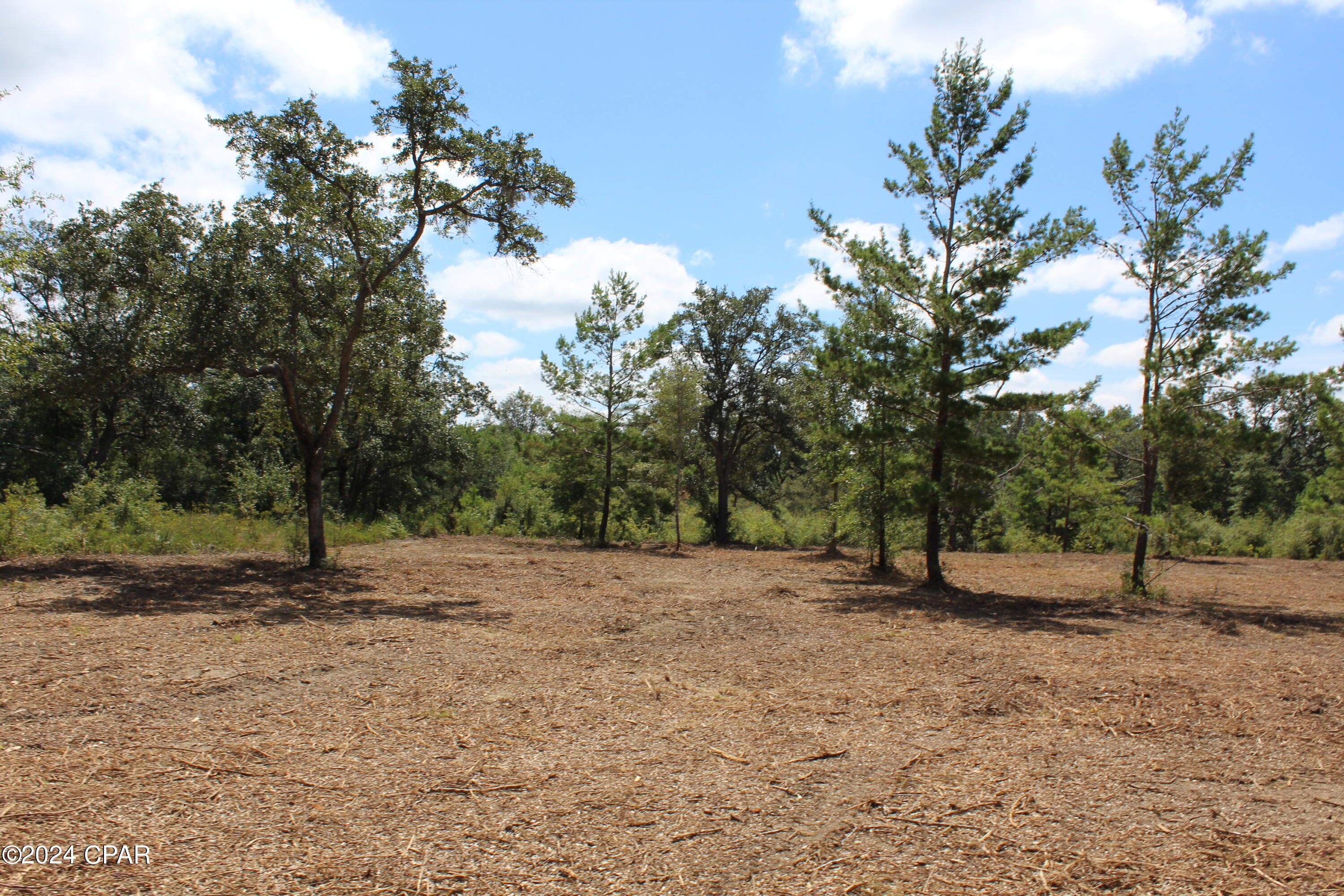 Lot 25 Holmes Valley Road Vernon, FL 32462 - Photo 8 of 17 Gallery Image 8