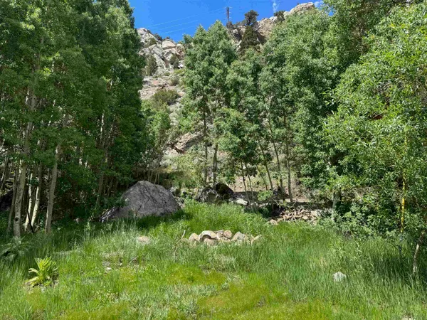 $260,000 | Unassigned Carson Street, June Lake, CA 93529