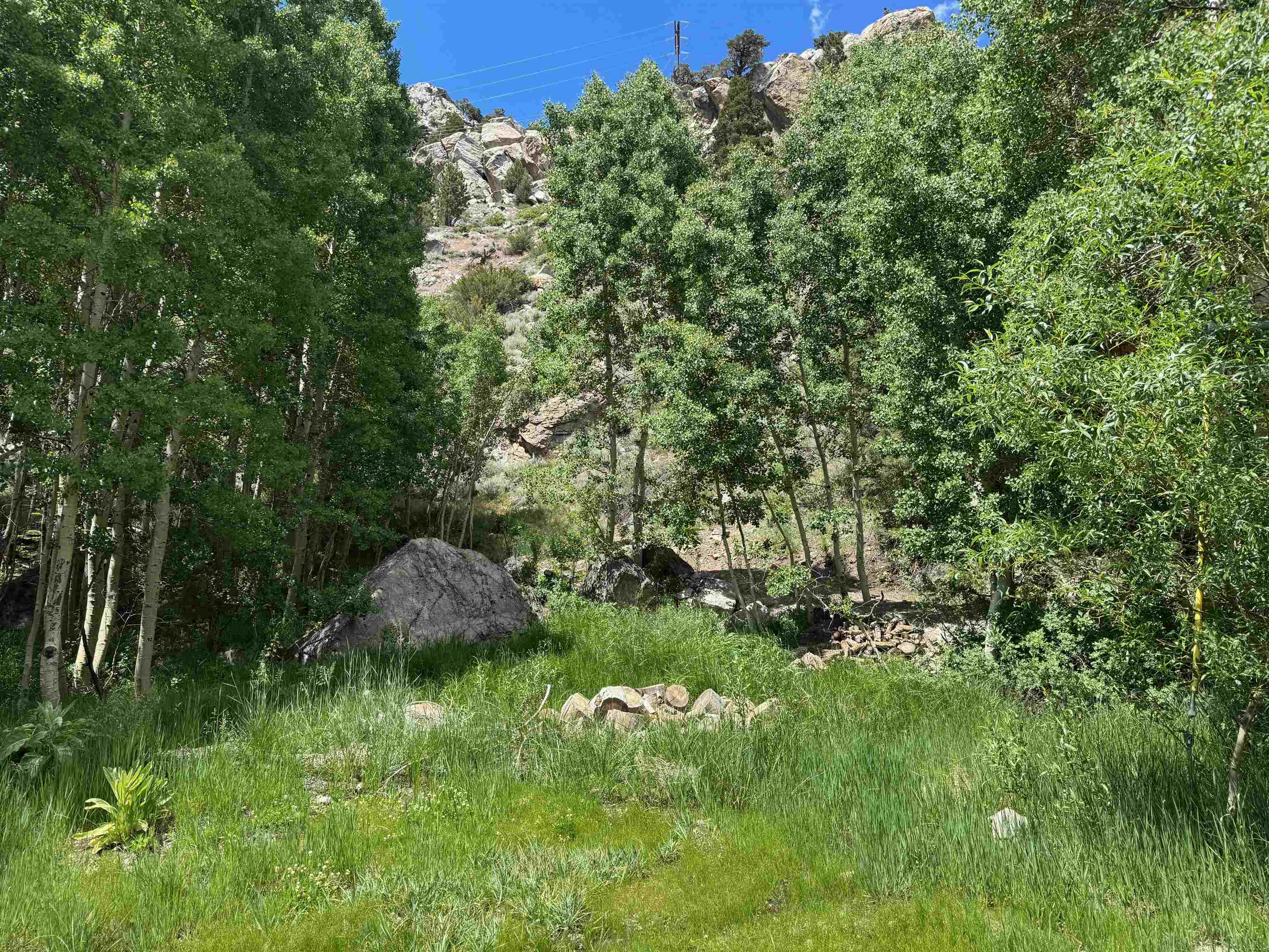 Unassigned Carson Street June Lake, CA 93529 - Photo 1 of 28