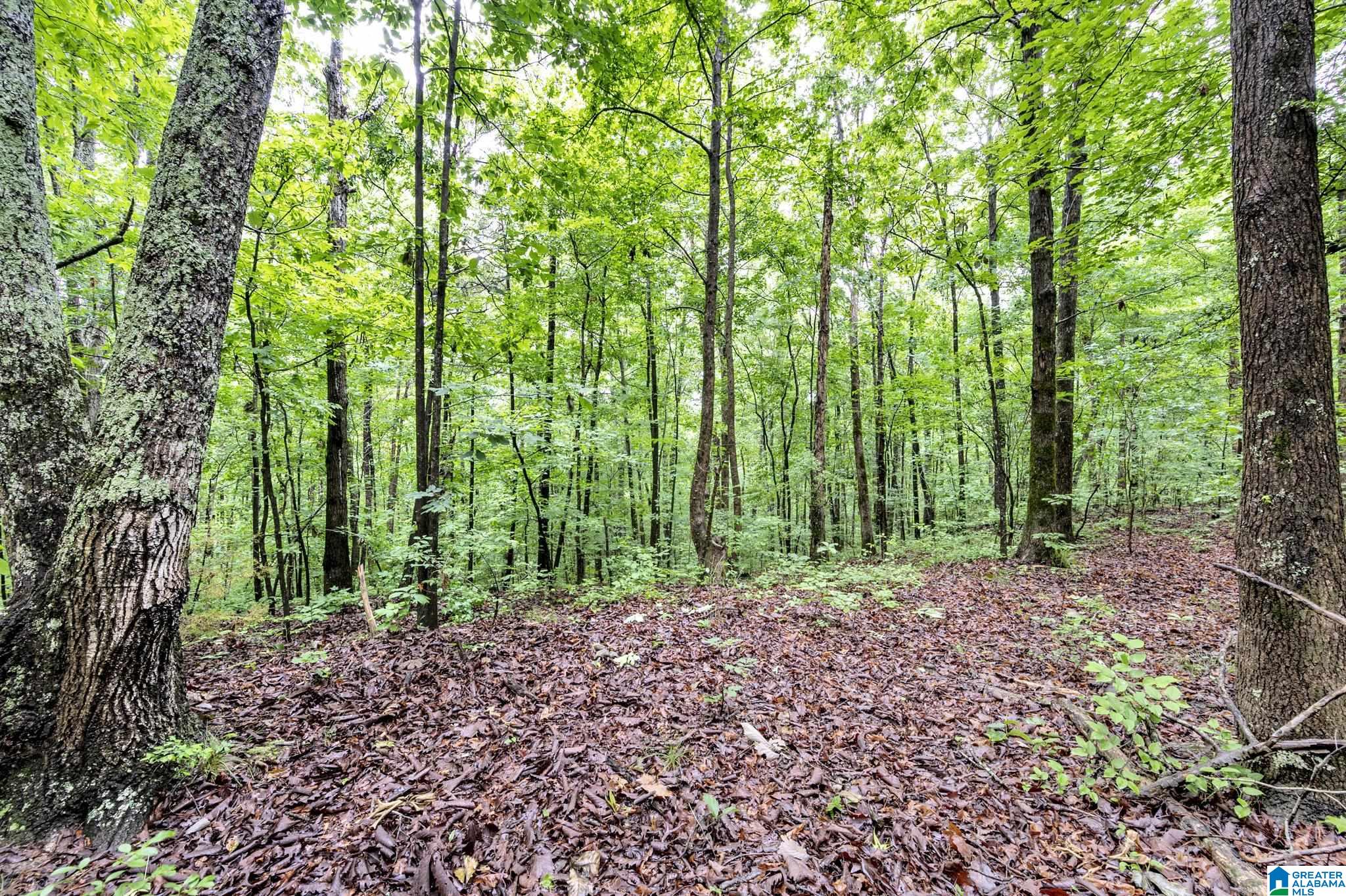 530 Mt Road Blountsville, AL 35031 - Photo 6 of 18