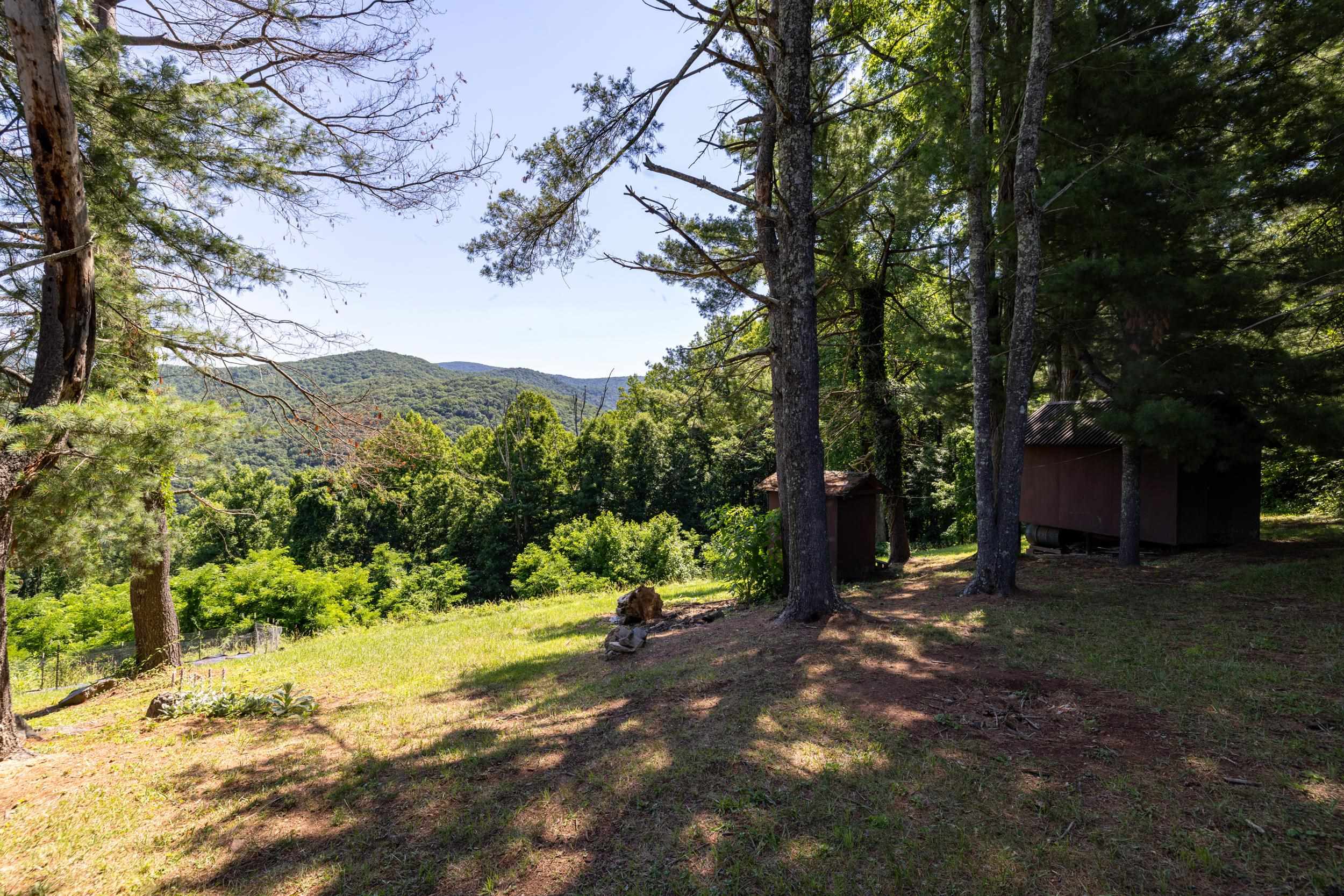 1093 Overlook Mountain Road Elkton, VA 22827 - Photo 43 of 63