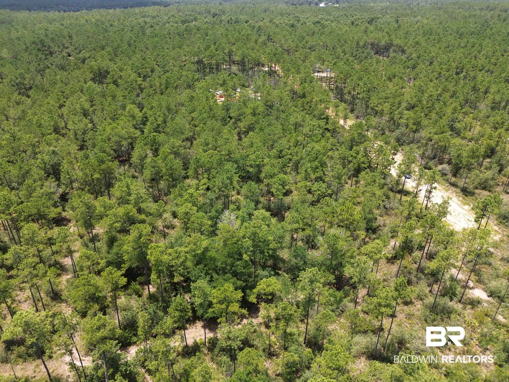 0 Kings Landing Road Seminole, AL 36574 - Photo 4 of 7