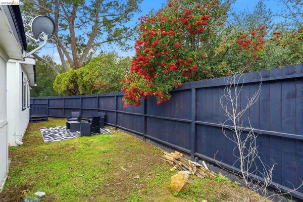 a view of a backyard with a small pool and plants