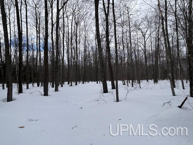 53554 North Superior Road Houghton, MI 49931 - Photo 31 of 41