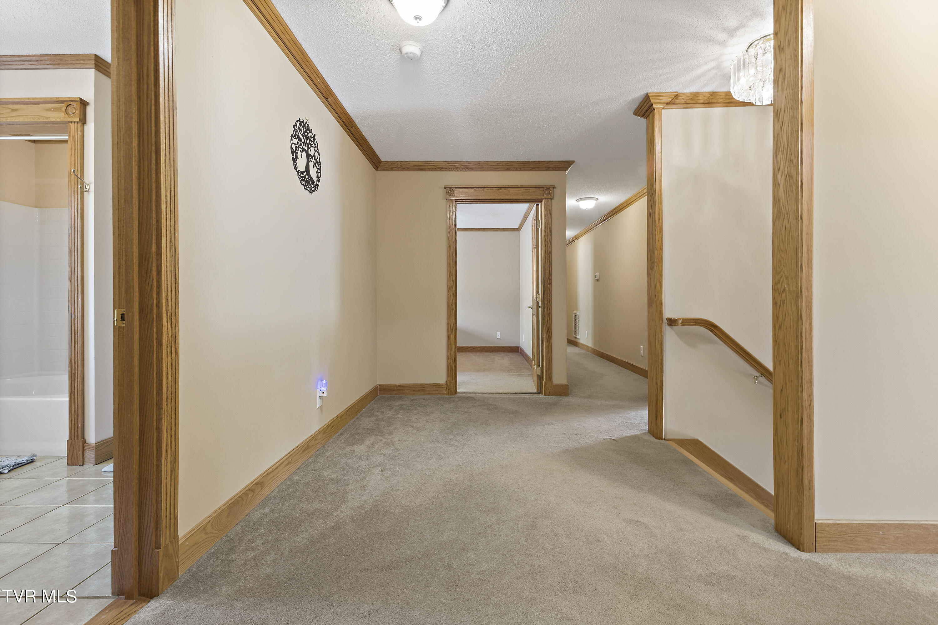 100 Crenshaw Way Chuckey, TN 37641 - Photo 31 of 98 128A1027