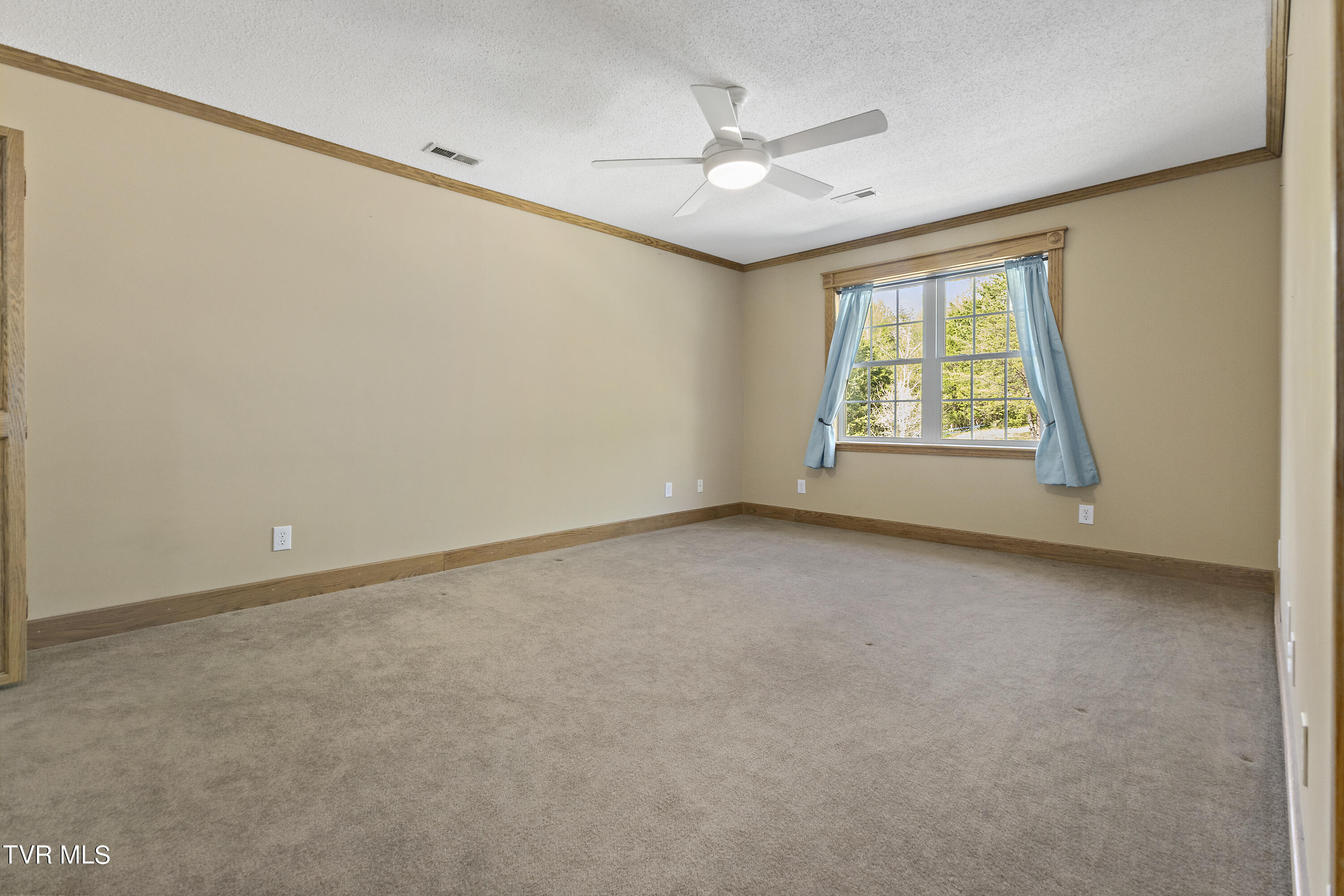 100 Crenshaw Way Chuckey, TN 37641 - Photo 35 of 98 128A1041