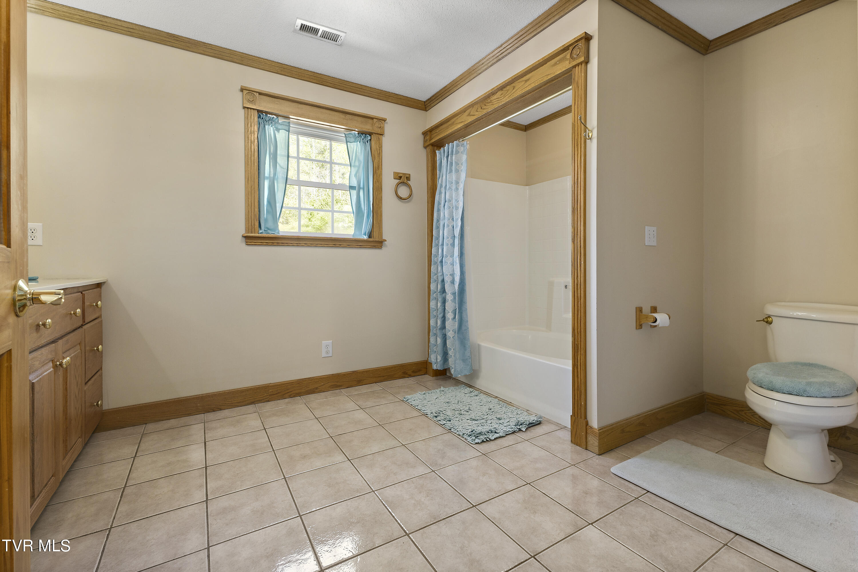 100 Crenshaw Way Chuckey, TN 37641 - Photo 37 of 98 128A1048
