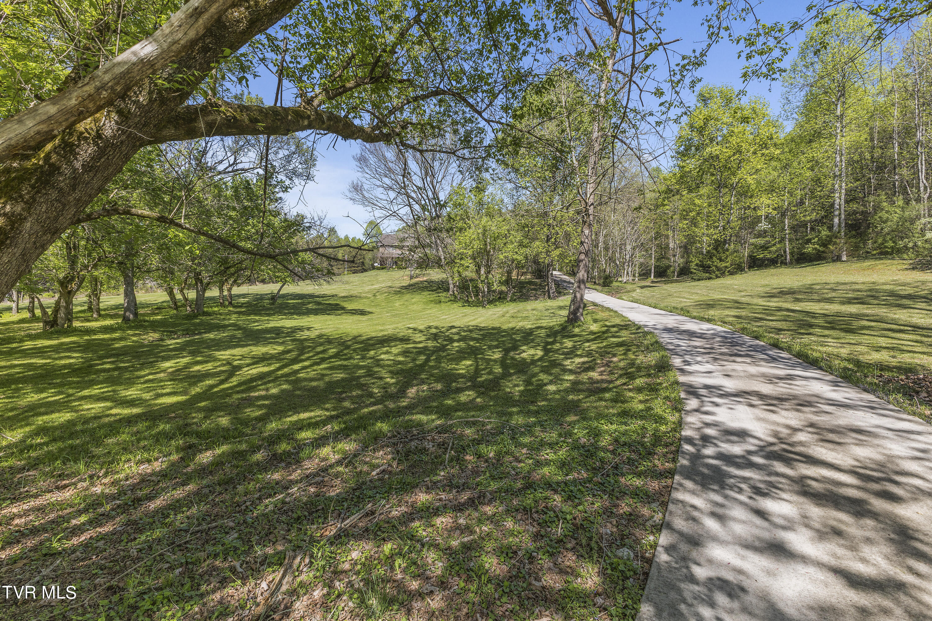 100 Crenshaw Way Chuckey, TN 37641 - Photo 7 of 98 128A0894