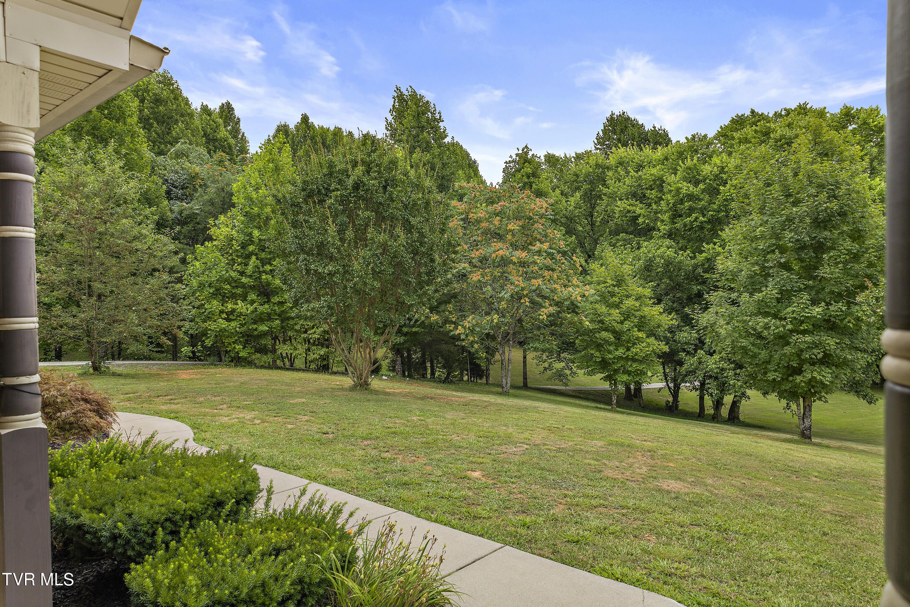 100 Crenshaw Way Chuckey, TN 37641 - Photo 98 of 98 128A7930