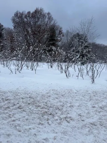 $39,900 | Mason Drive, Newaygo, MI 49337