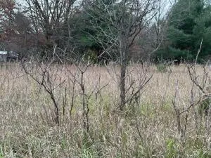 $39,900 | Mason Drive, Newaygo, MI 49337