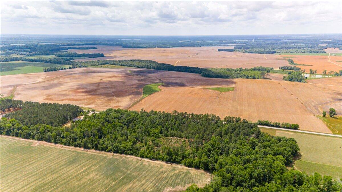 0 Herndon Road Waynesboro, GA 30830 - Photo 7 of 12 08-008-