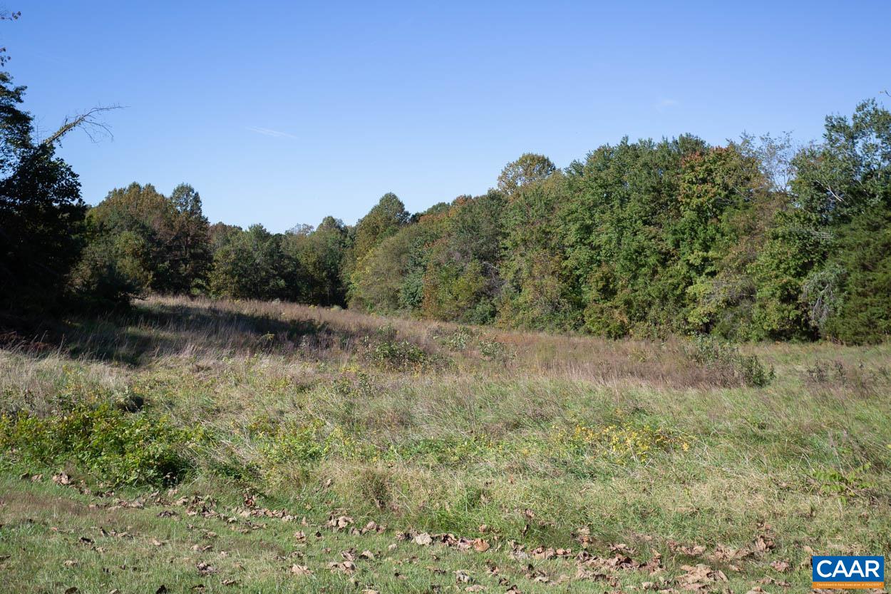 5407 South Blue Ridge Turnpike Rochelle, VA 22738 - Photo 55 of 72 a view of a river covered with trees