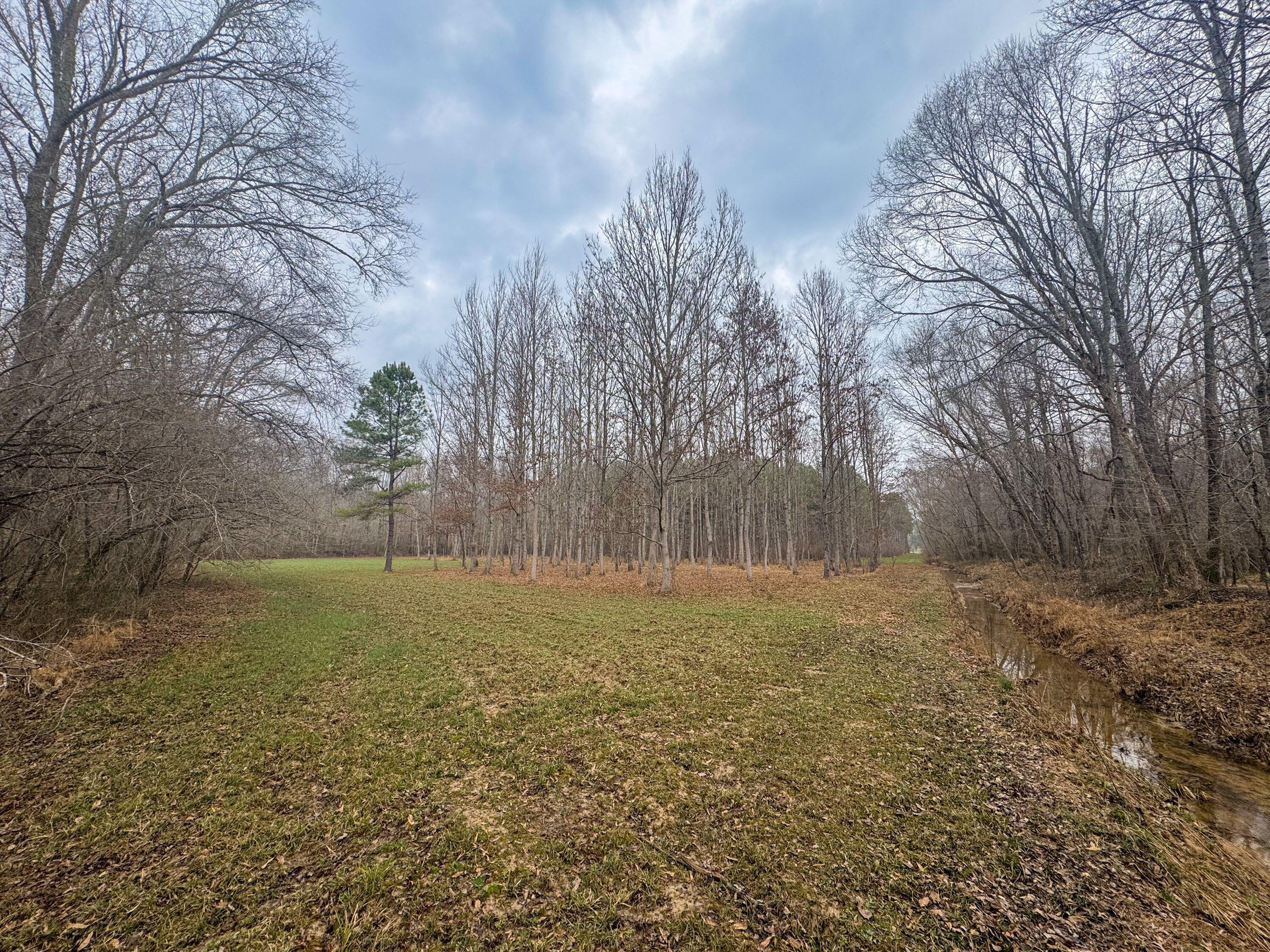 731 Wright Road Tremont, MS 38876 - Photo 49 of 76 Gallery Image 49