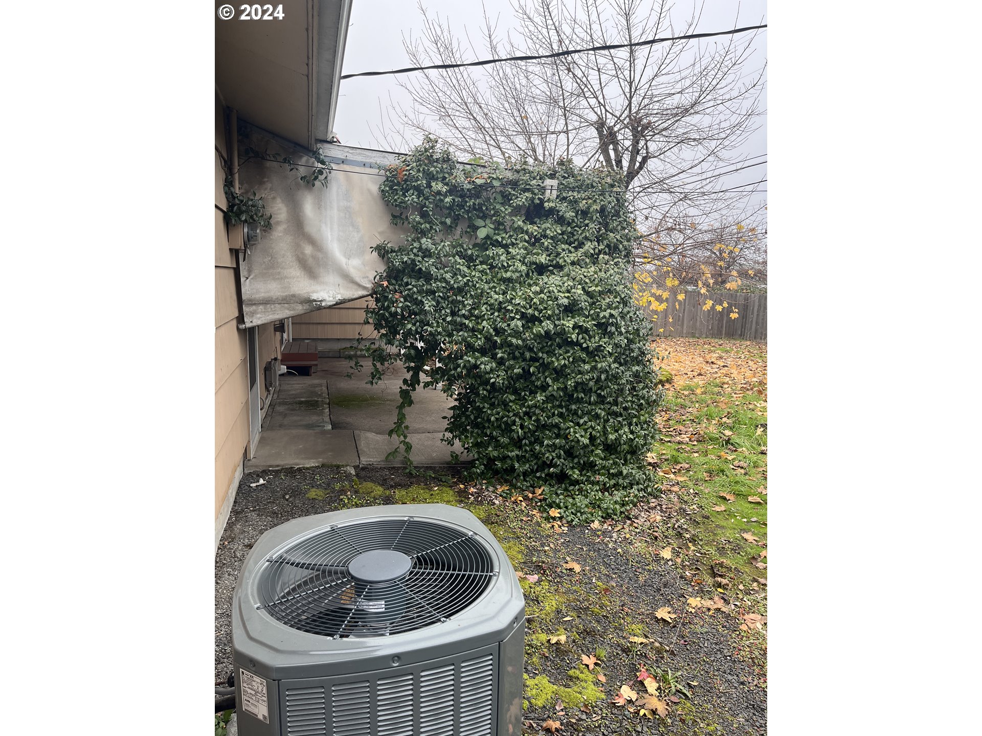 1464 Quinalt Street Springfield, OR 97477 - Photo 13 of 15