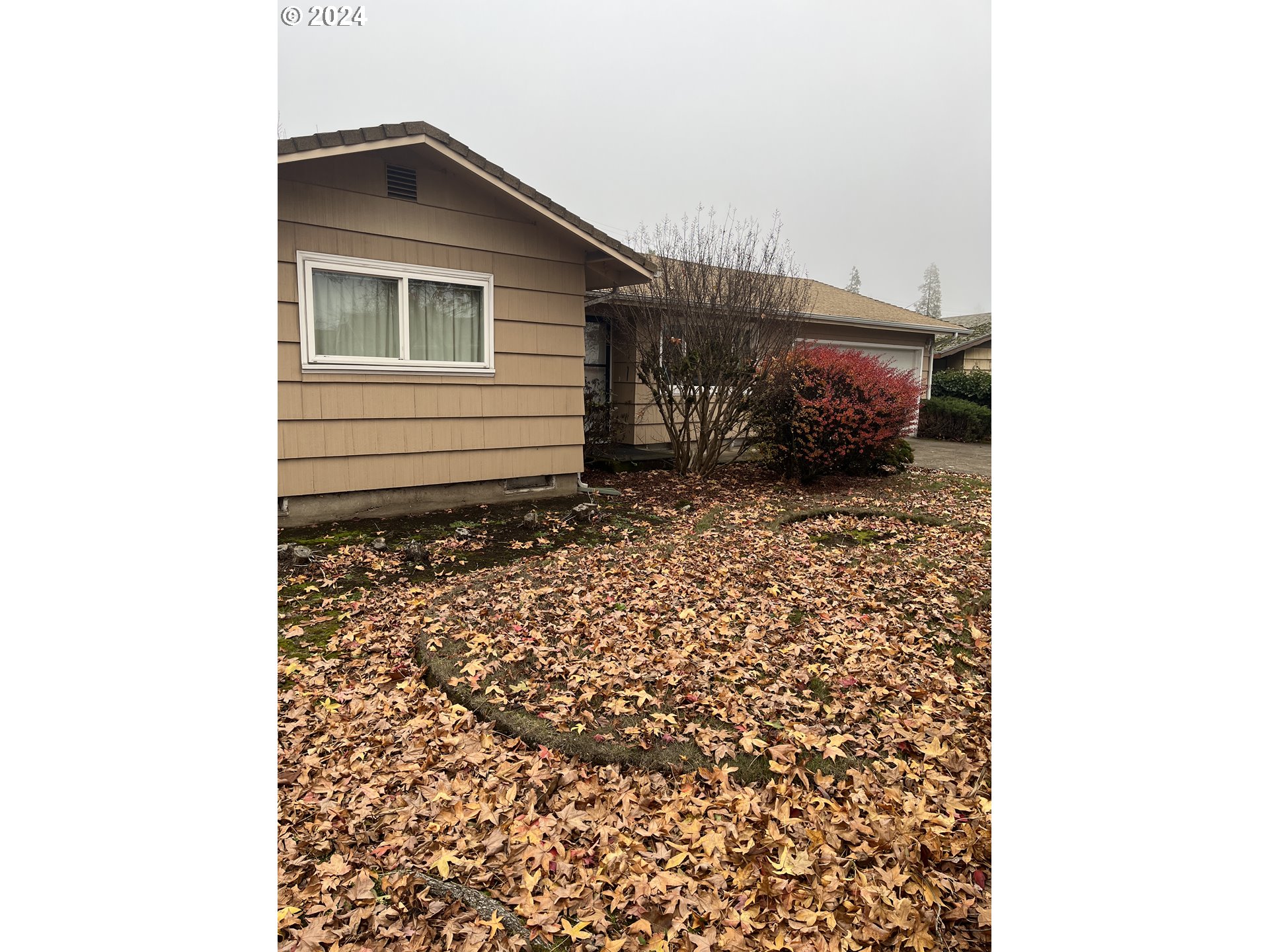 1464 Quinalt Street Springfield, OR 97477 - Photo 2 of 15