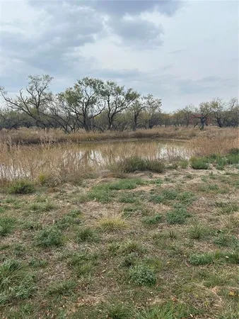 a view of a lake from a yard