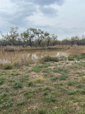 a view of a lake from a yard