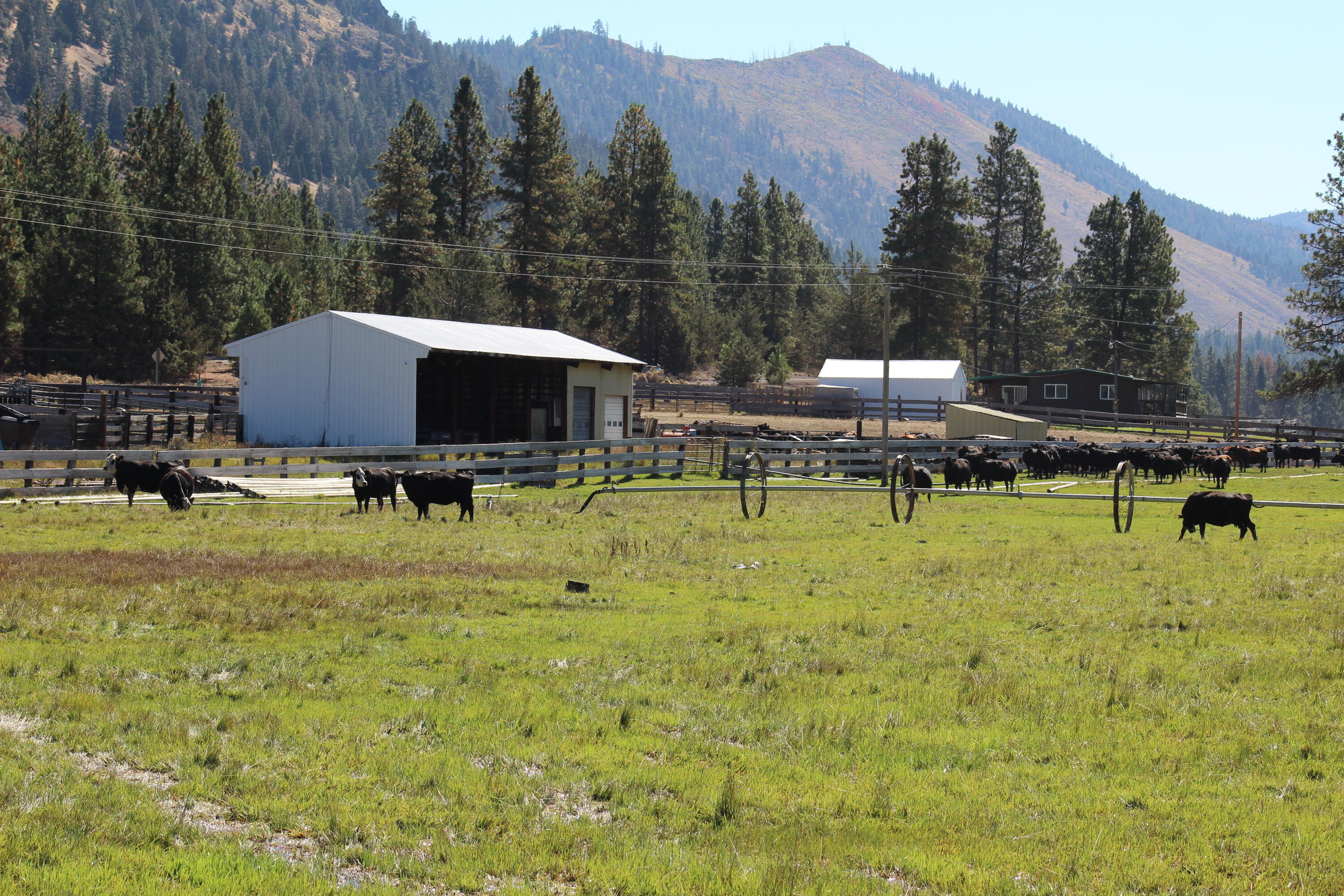 12046 Old Fort Road Klamath Falls, OR 97601 - Photo 12 of 59 Bursell Ranch