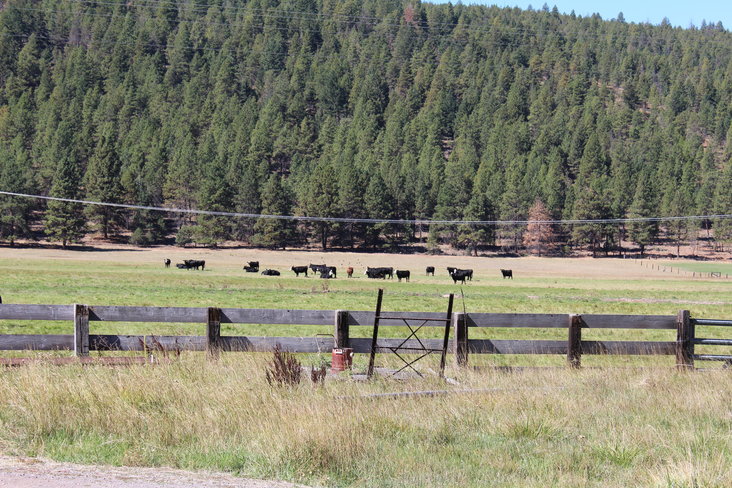 12046 Old Fort Road Klamath Falls, OR 97601 - Photo 17 of 59 Bursell Ranch