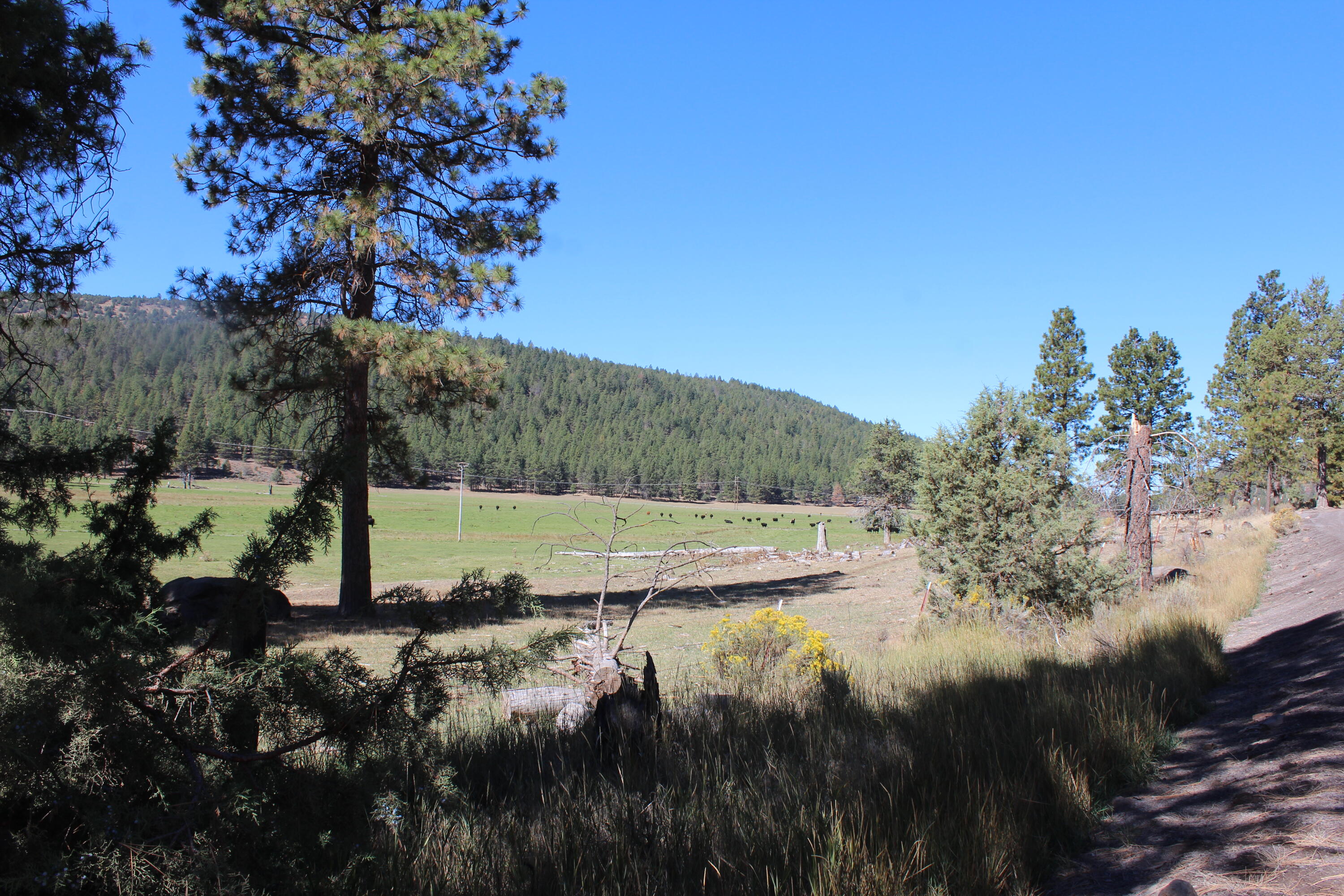 12046 Old Fort Road Klamath Falls, OR 97601 - Photo 19 of 59 Bursell Ranch