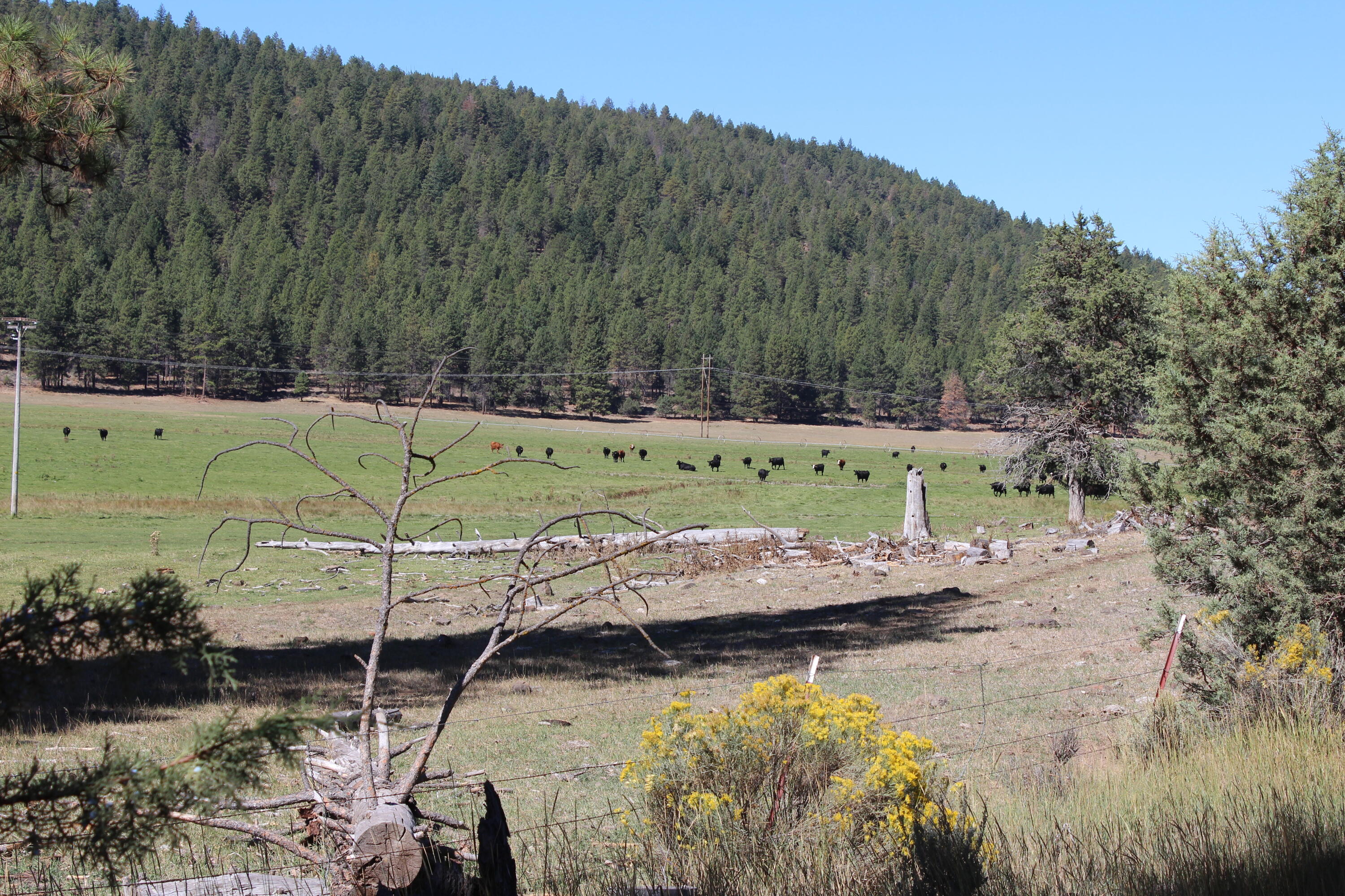 12046 Old Fort Road Klamath Falls, OR 97601 - Photo 20 of 59 Bursell Ranch