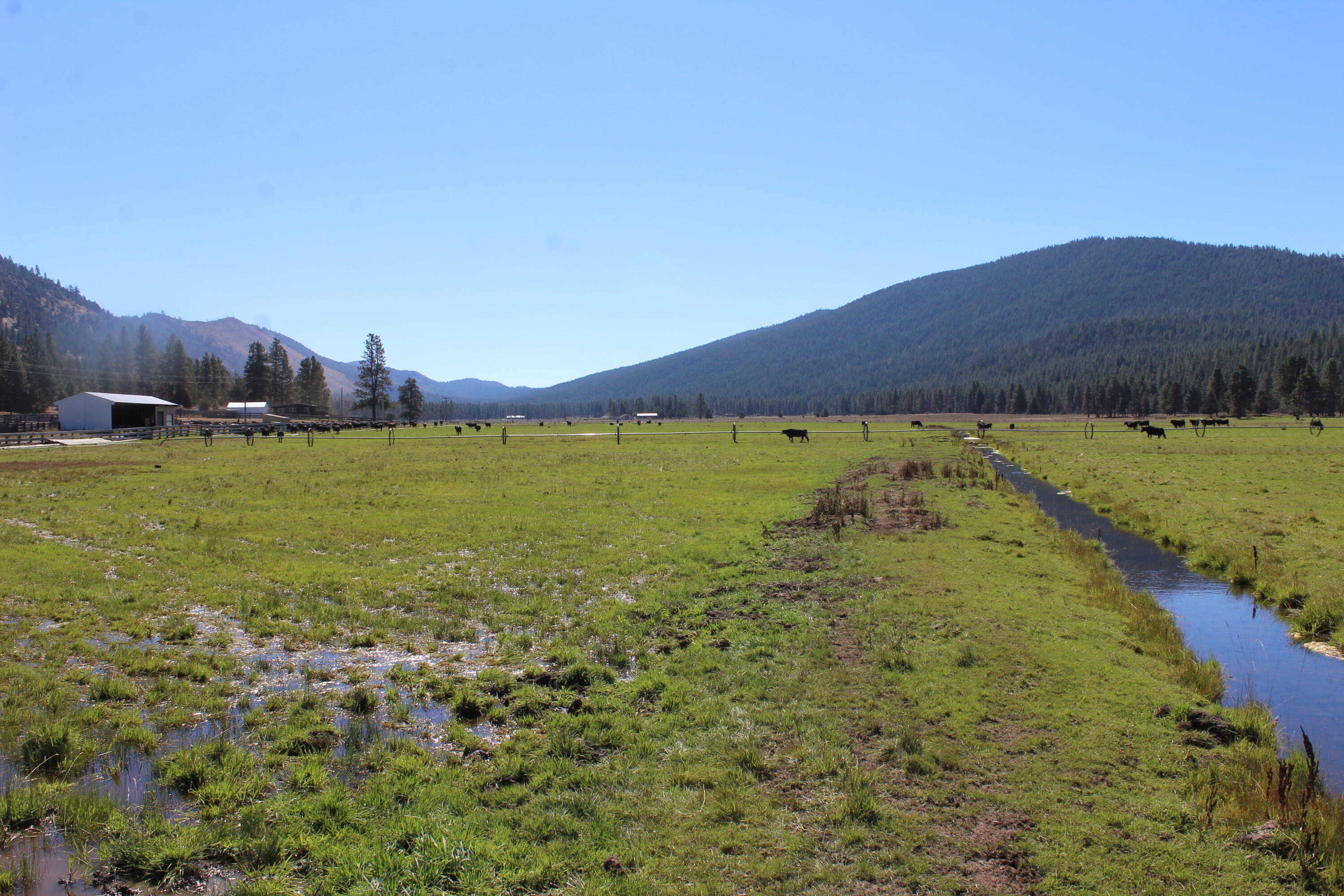 12046 Old Fort Road Klamath Falls, OR 97601 - Photo 22 of 59 Bursell Ranch