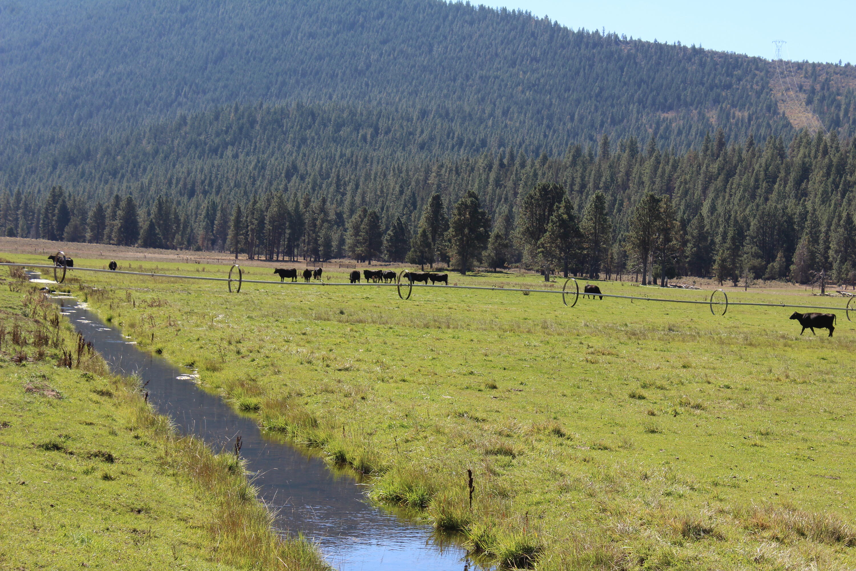 12046 Old Fort Road Klamath Falls, OR 97601 - Photo 23 of 59 Bursell Ranch