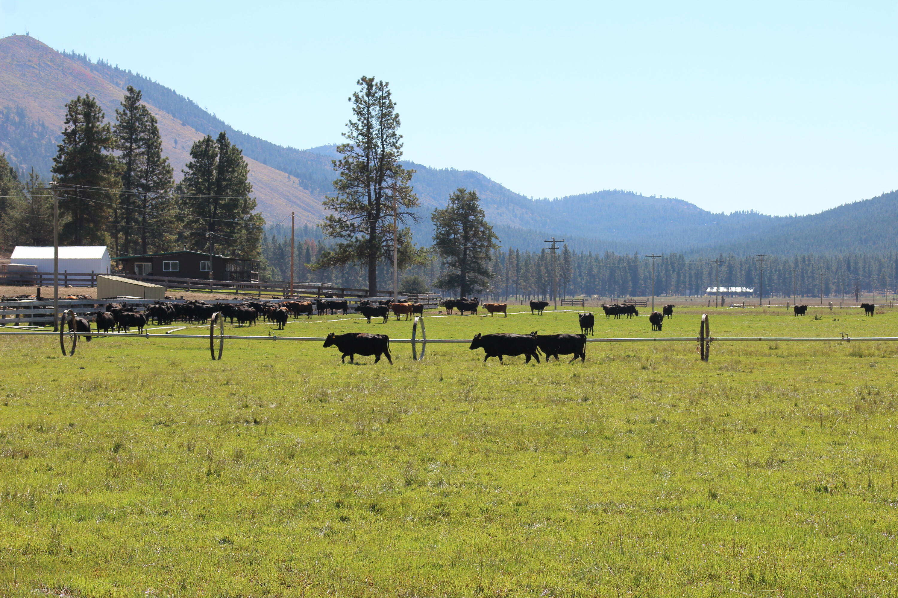12046 Old Fort Road Klamath Falls, OR 97601 - Photo 24 of 59 Bursell Ranch