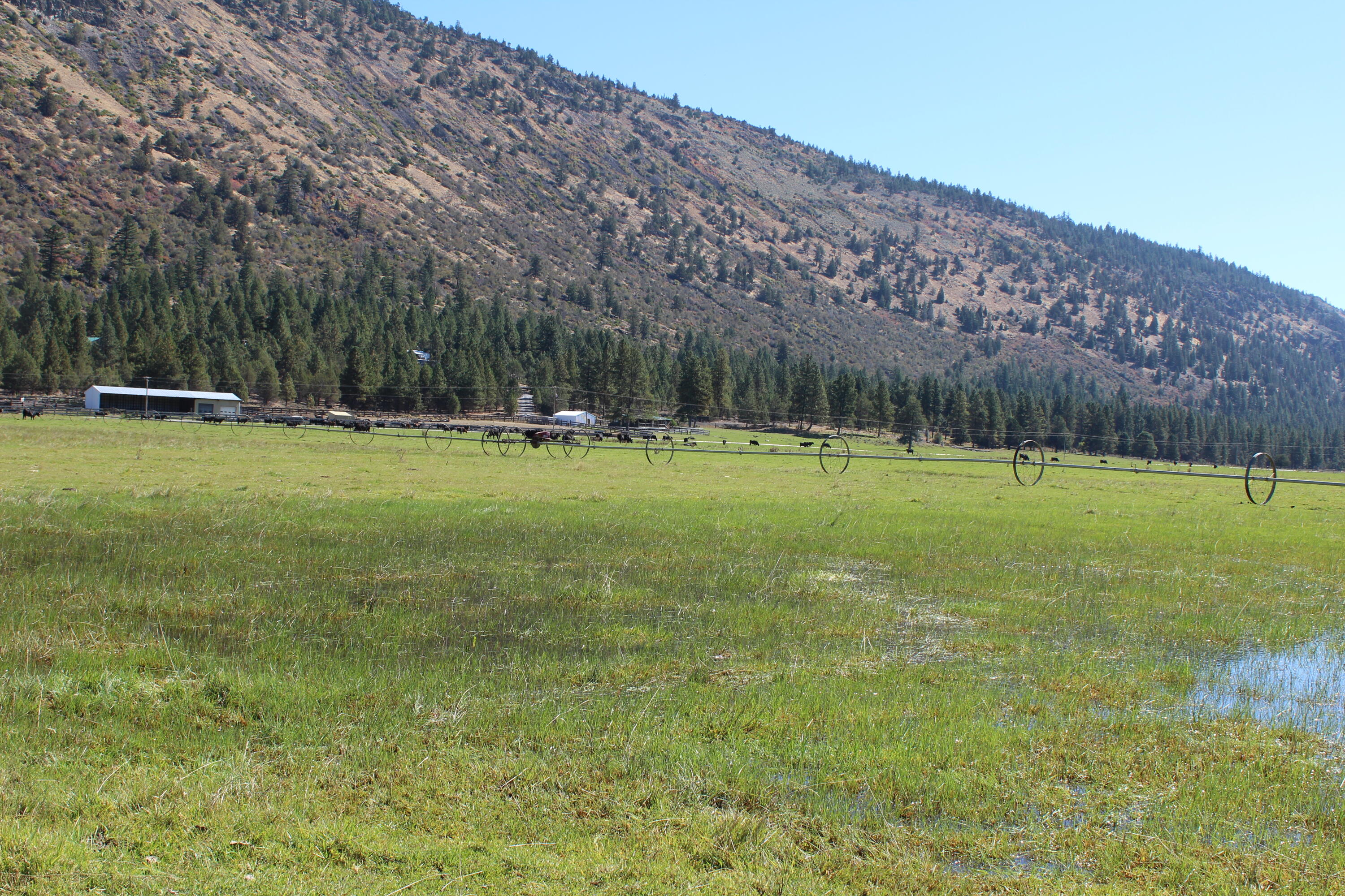 12046 Old Fort Road Klamath Falls, OR 97601 - Photo 27 of 59 Bursell Ranch