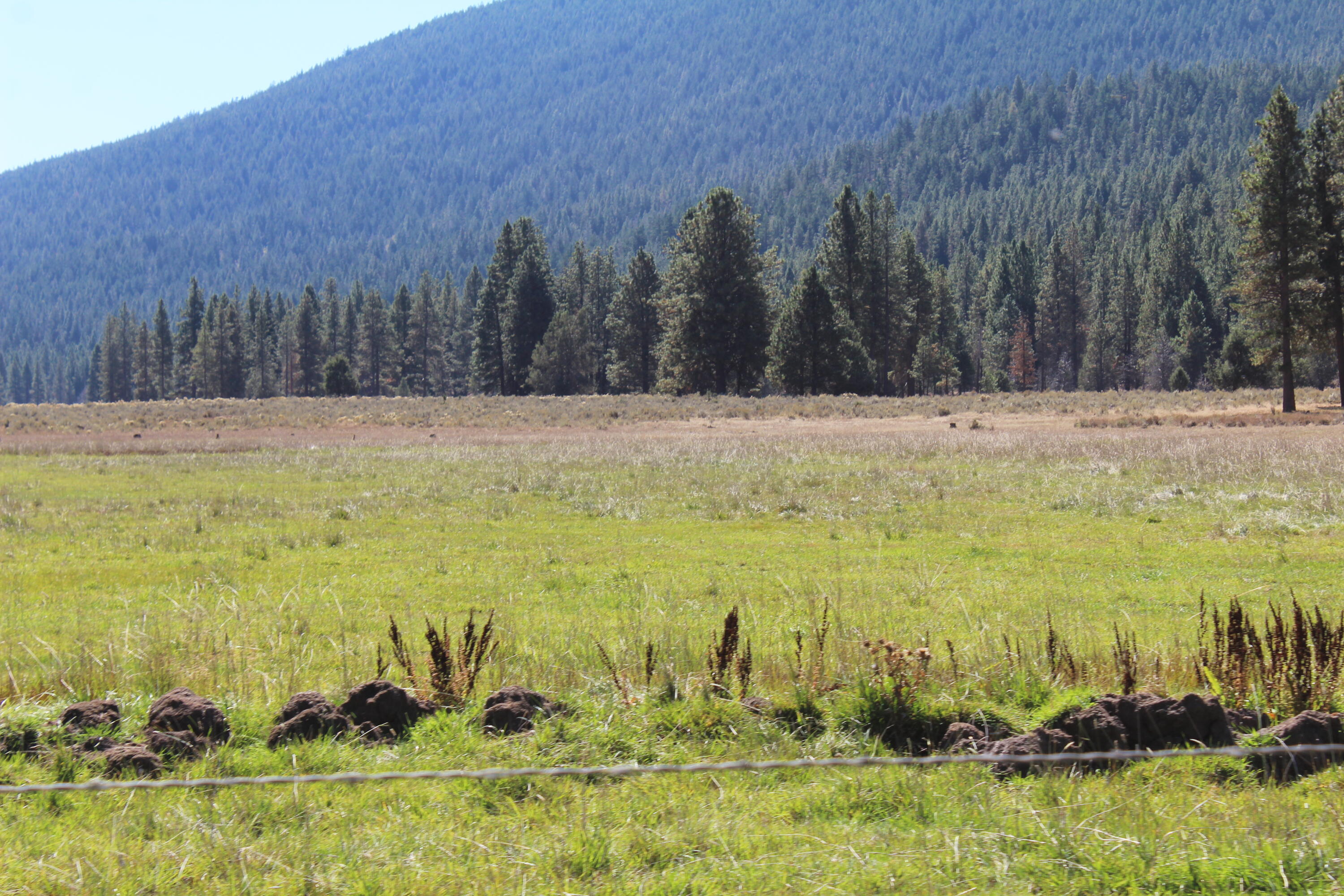 12046 Old Fort Road Klamath Falls, OR 97601 - Photo 30 of 59 Bursell Ranch