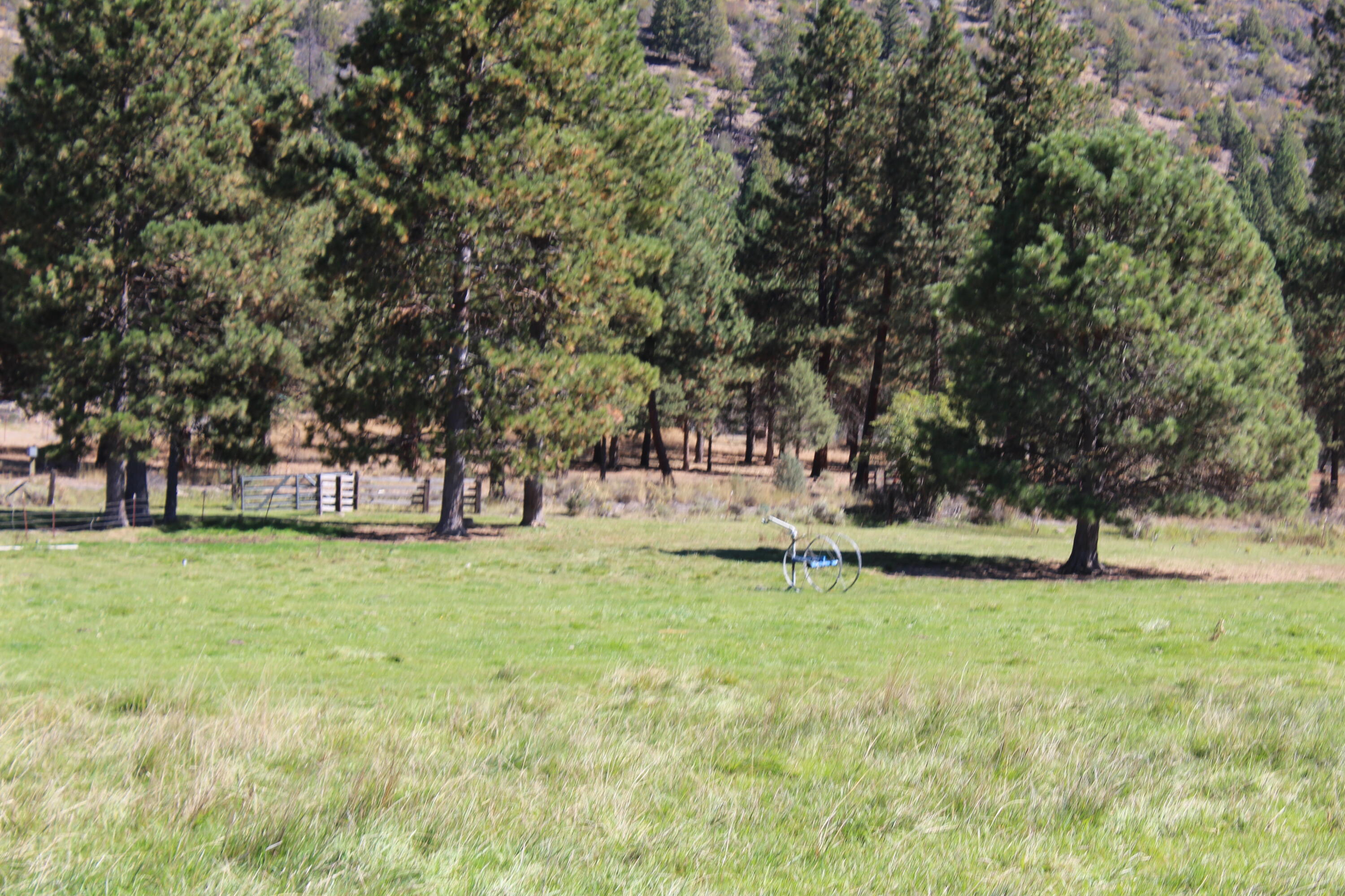 12046 Old Fort Road Klamath Falls, OR 97601 - Photo 33 of 59 Bursell Ranch