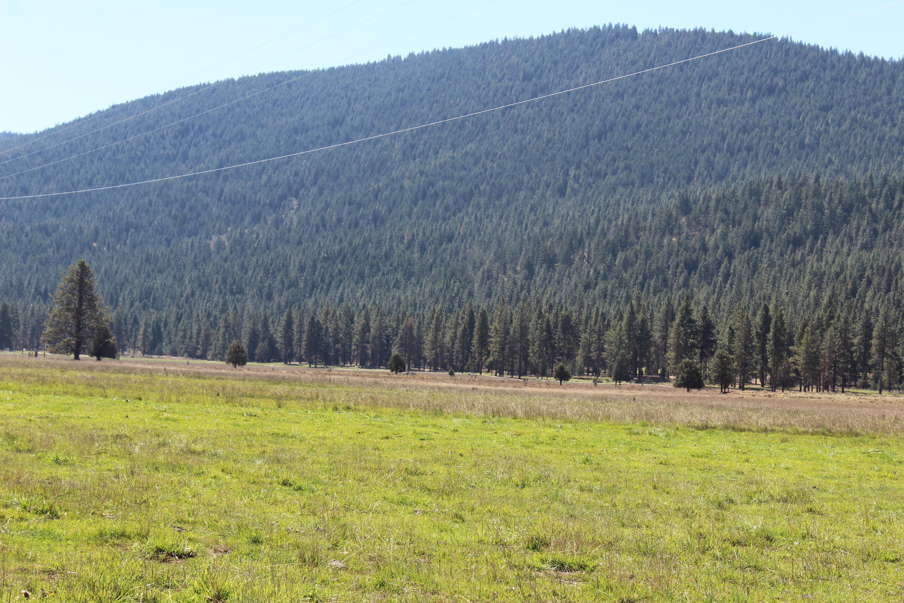 12046 Old Fort Road Klamath Falls, OR 97601 - Photo 34 of 59 Bursell Ranch