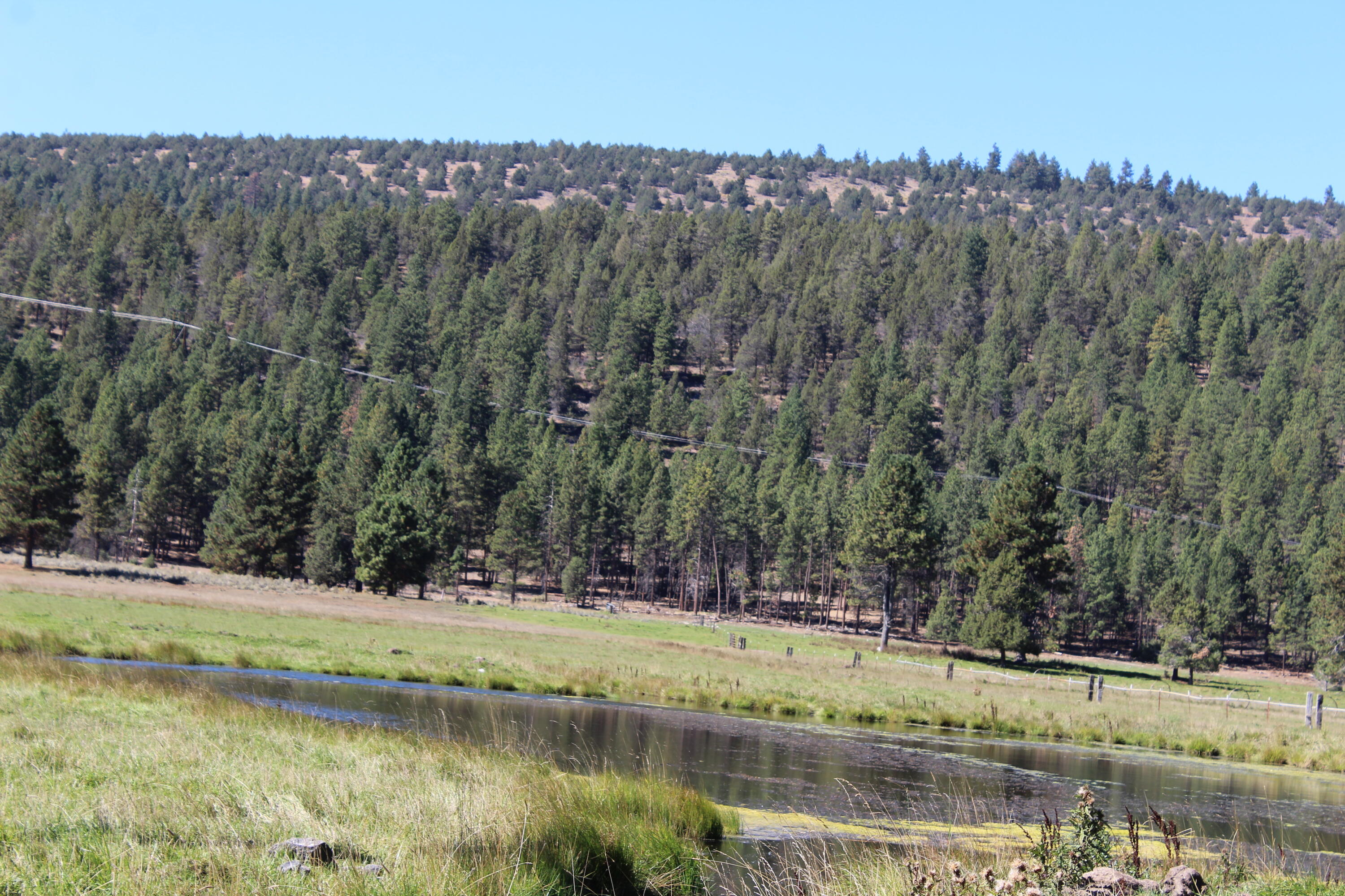 12046 Old Fort Road Klamath Falls, OR 97601 - Photo 35 of 59 Bursell Ranch