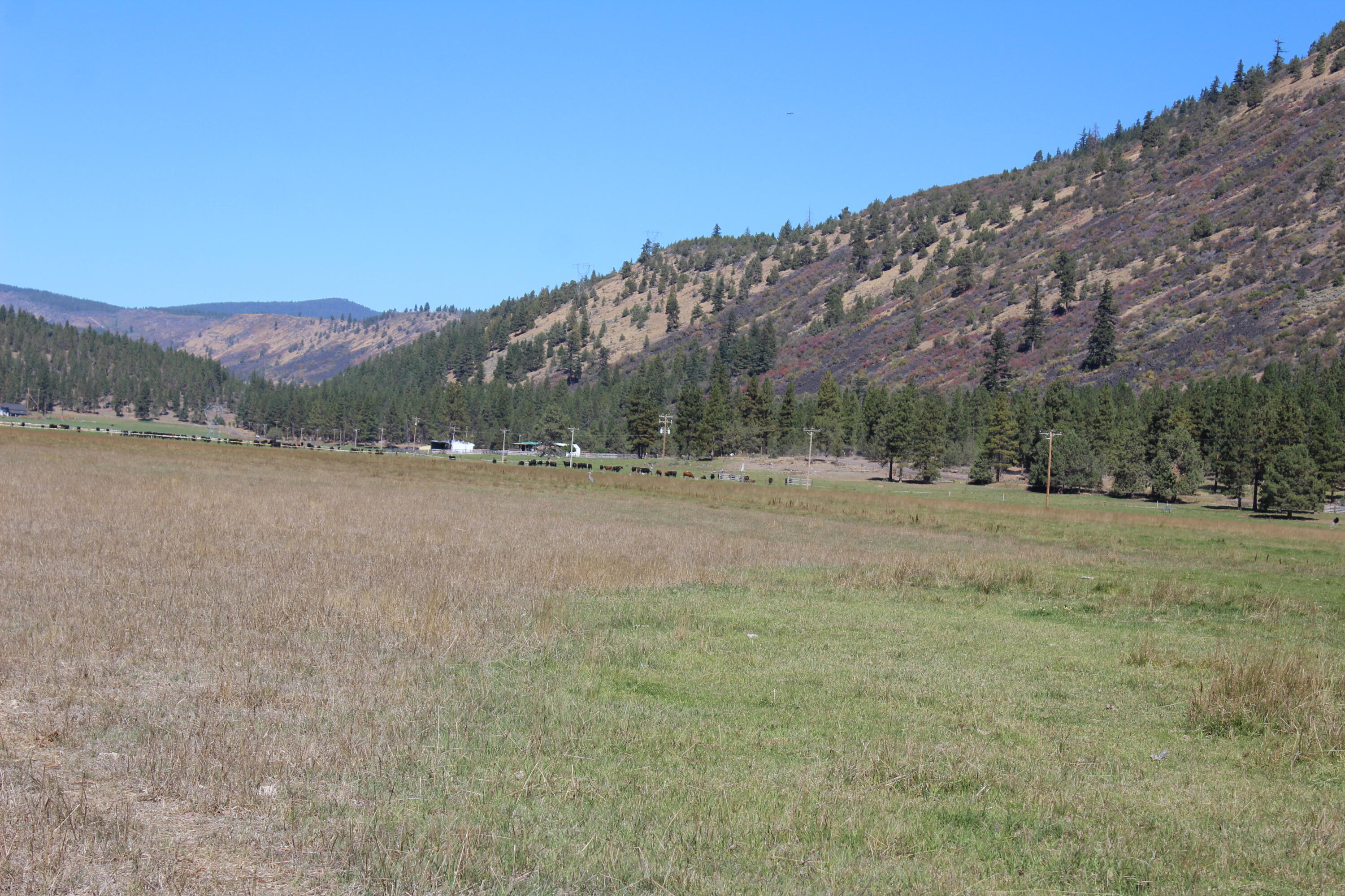 12046 Old Fort Road Klamath Falls, OR 97601 - Photo 36 of 59 Bursell Ranch