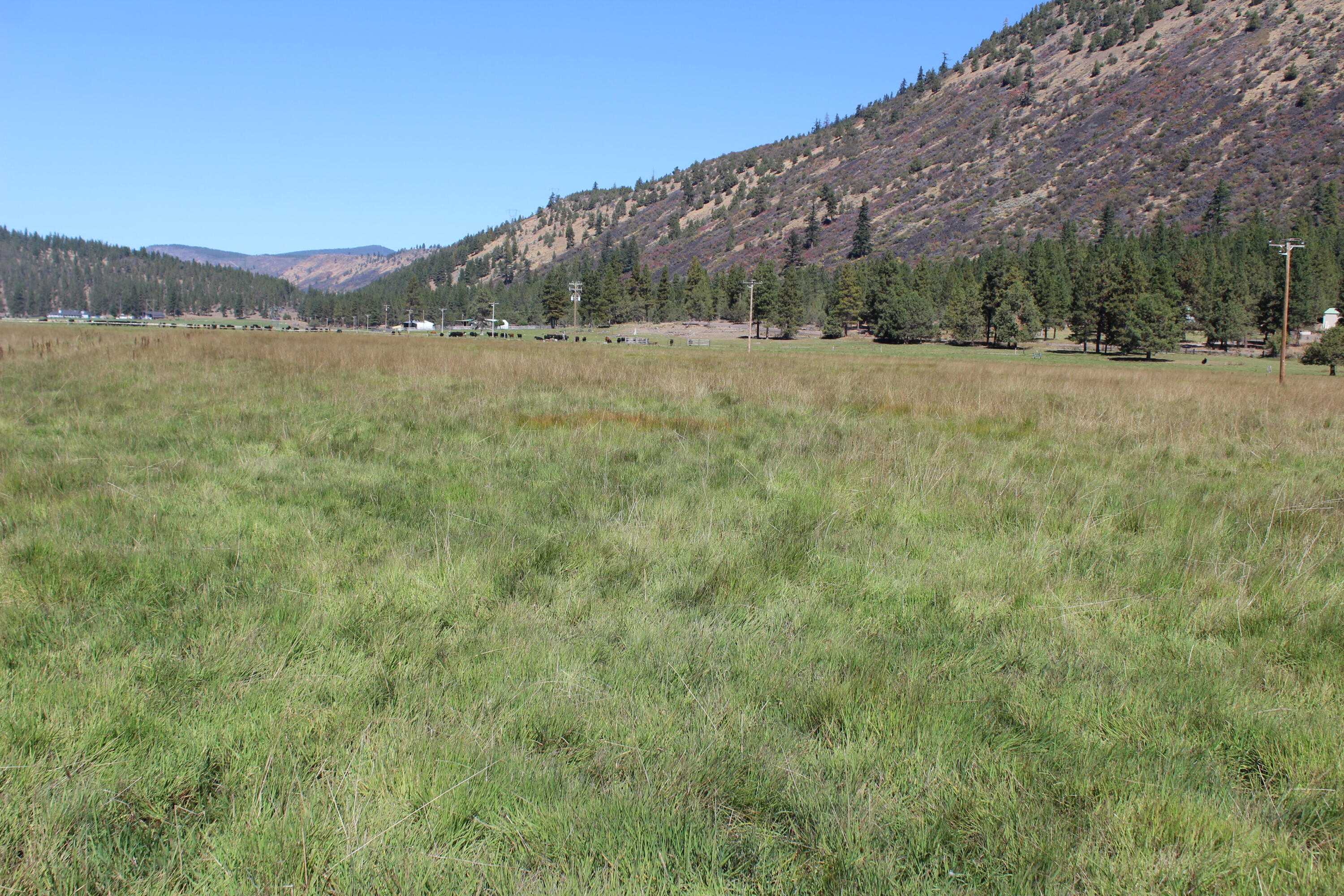 12046 Old Fort Road Klamath Falls, OR 97601 - Photo 37 of 59 Bursell Ranch