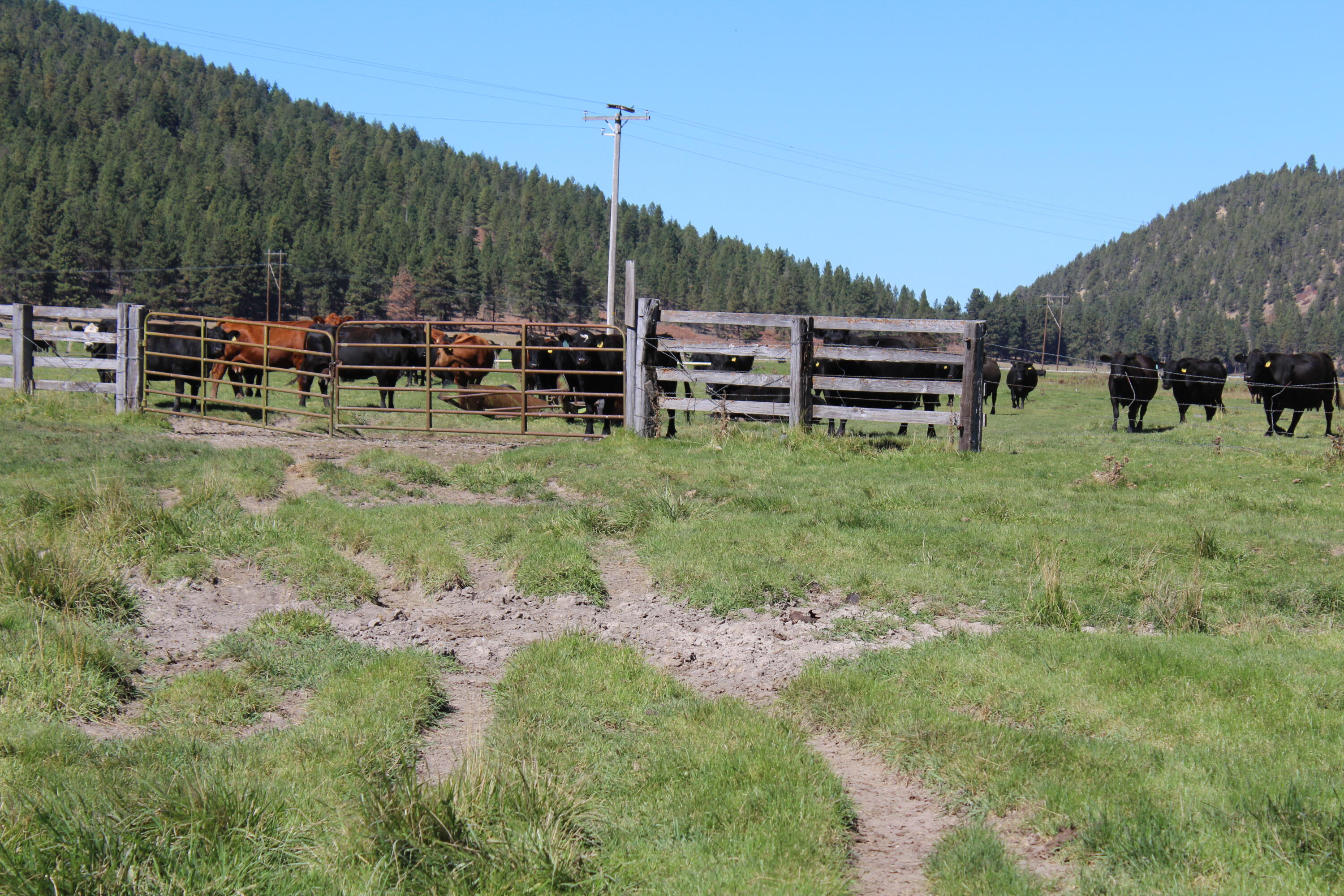 12046 Old Fort Road Klamath Falls, OR 97601 - Photo 38 of 59 Bursell Ranch
