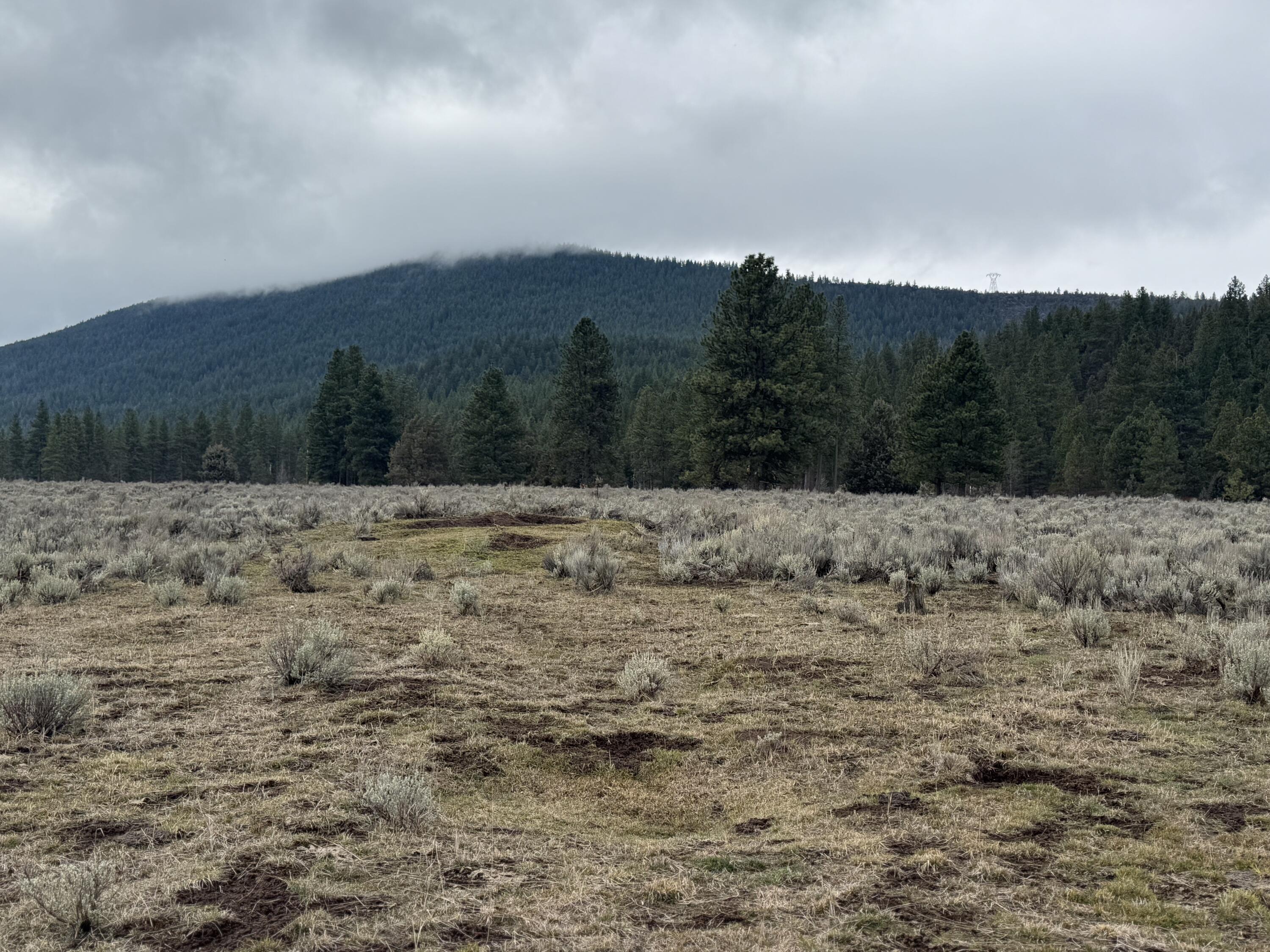 12046 Old Fort Road Klamath Falls, OR 97601 - Photo 42 of 59 Winter photo