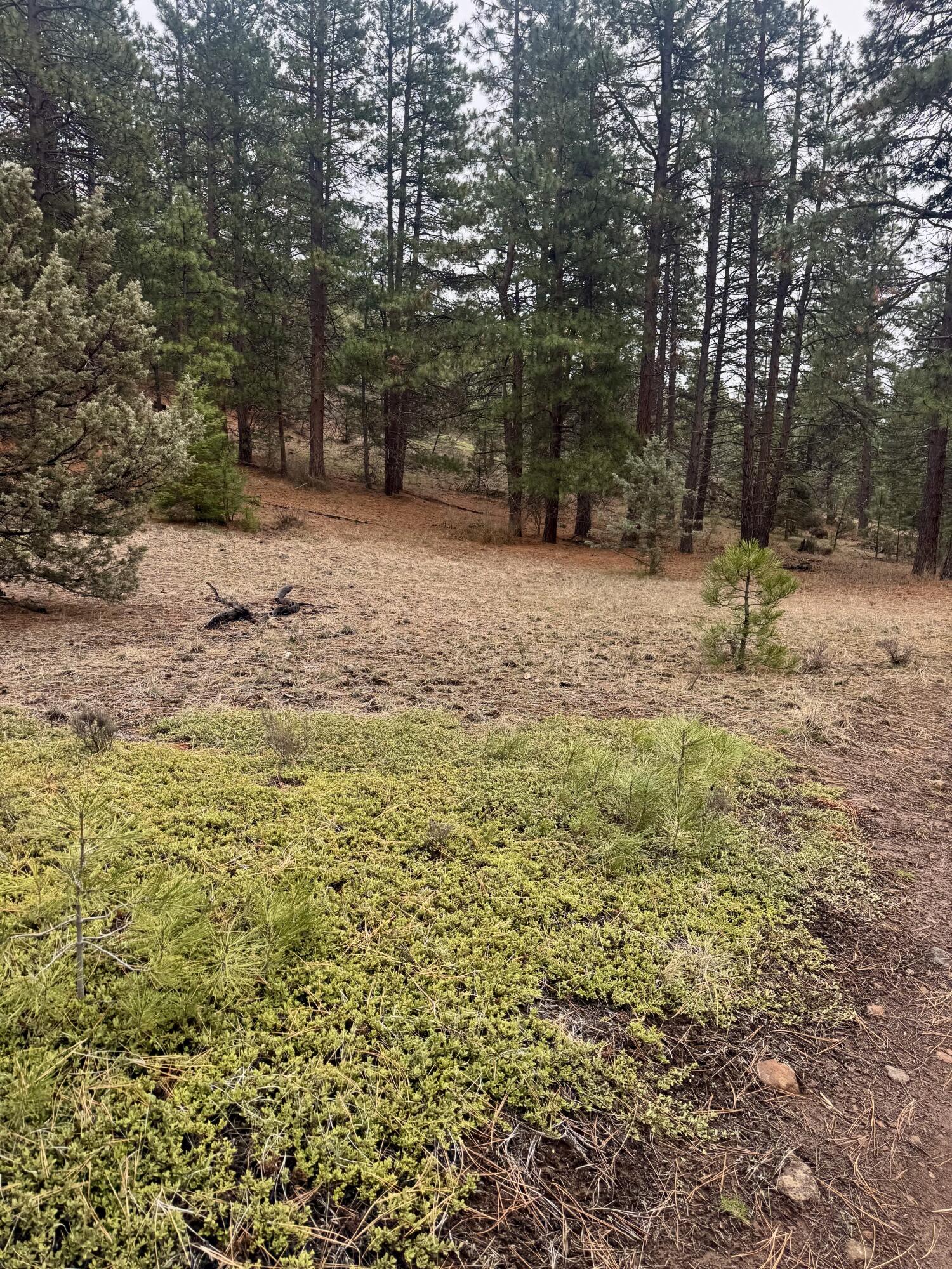 12046 Old Fort Road Klamath Falls, OR 97601 - Photo 45 of 59 Up high on the ridge