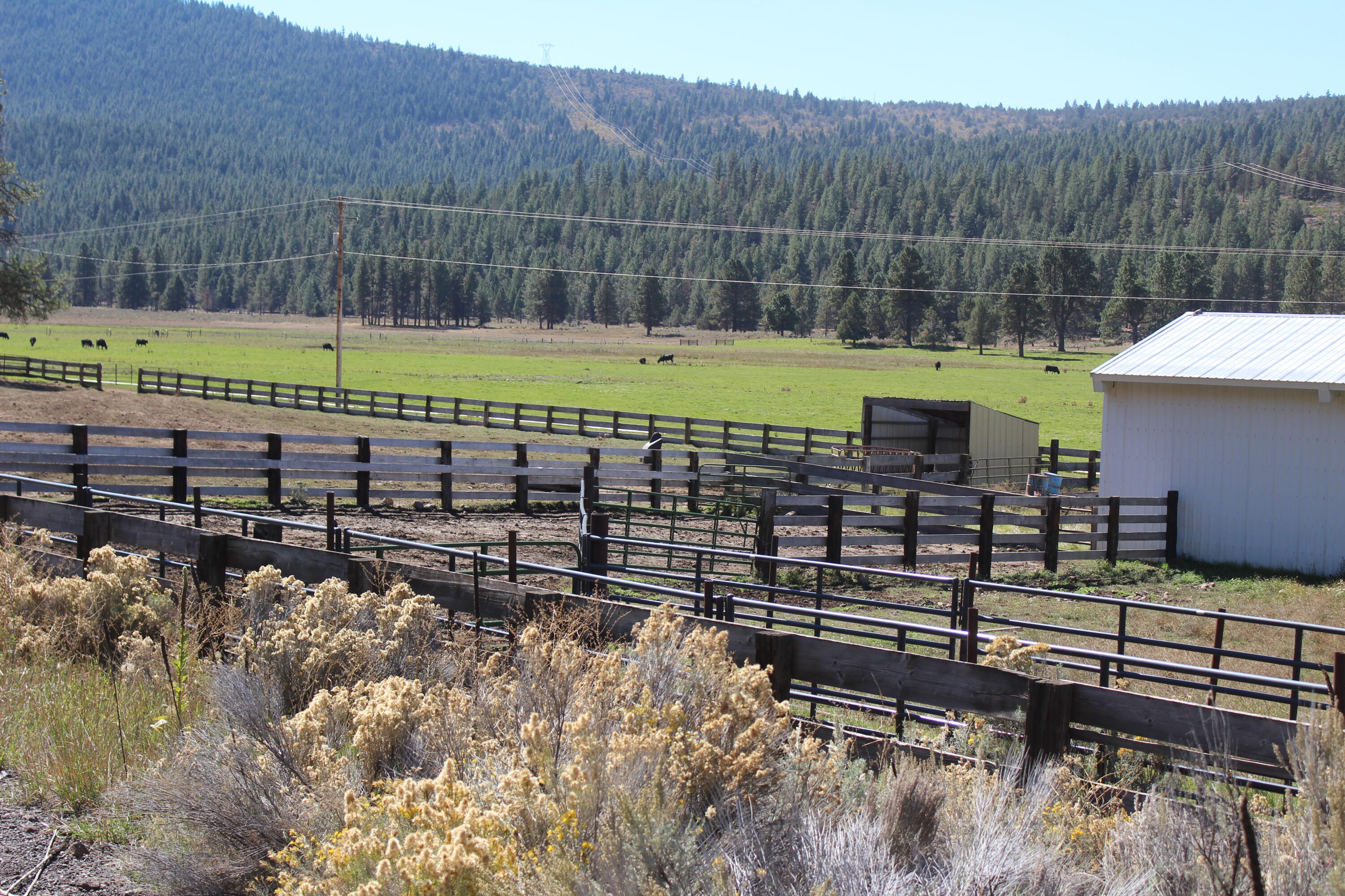 12046 Old Fort Road Klamath Falls, OR 97601 - Photo 8 of 59 Bursell Ranch