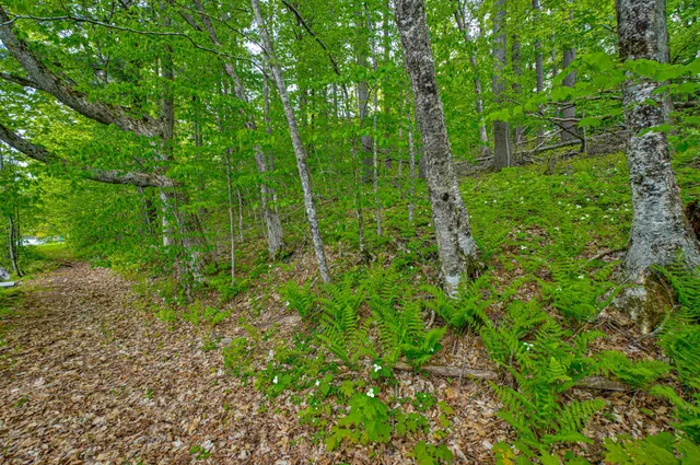 $1,175,000 | N872 County Highway, Sarona, WI 54870