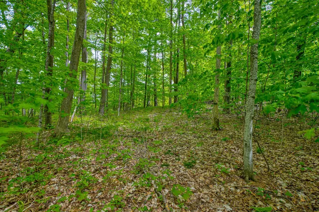 $1,175,000 | N872 County Highway, Sarona, WI 54870