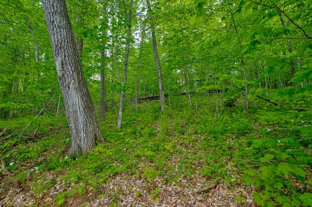 $1,175,000 | N872 County Highway, Sarona, WI 54870