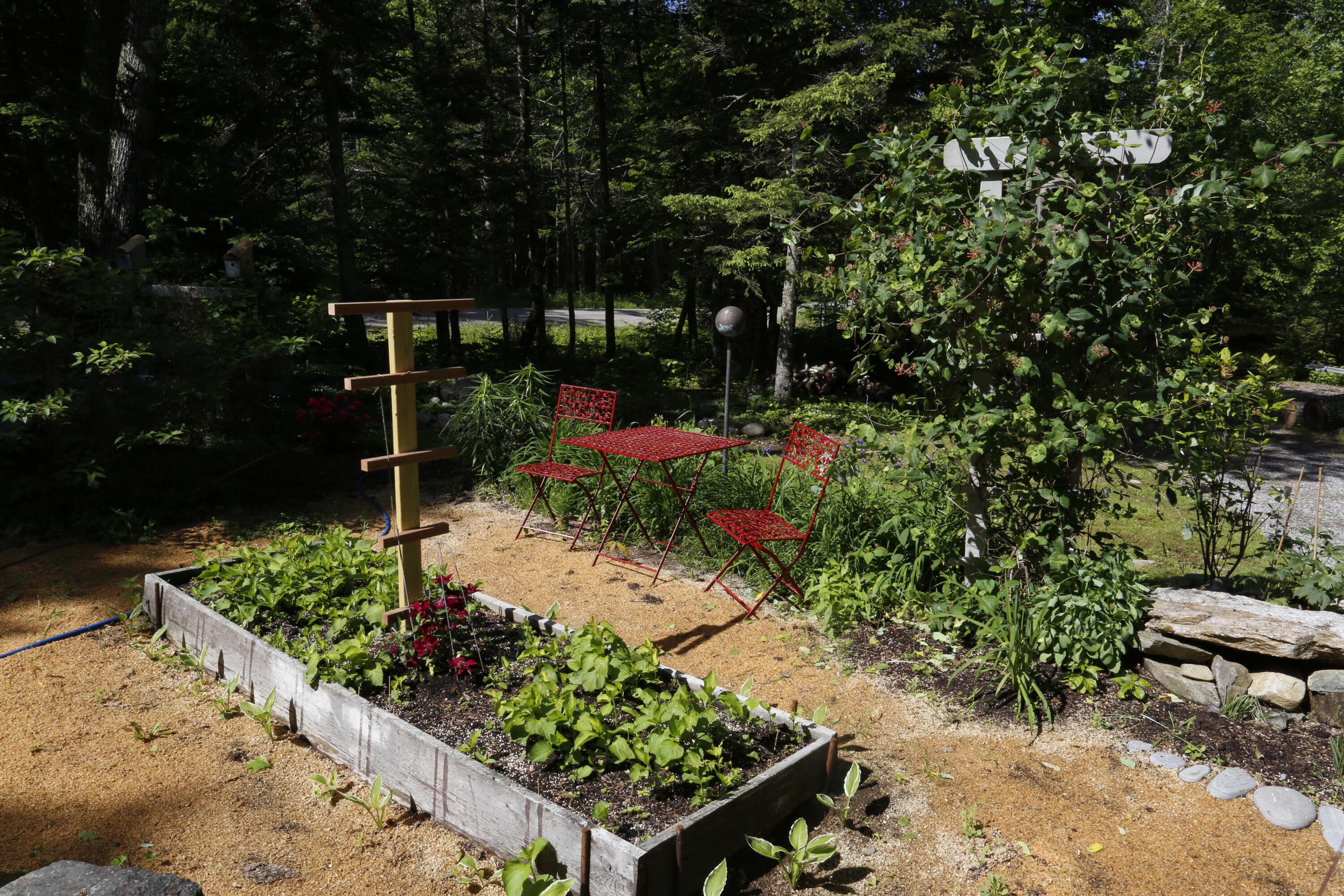 36 Granite Hill Road Pemaquid, ME 04558 - Photo 13 of 134 _S1A0165