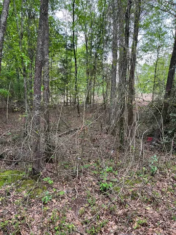 $61,500 | 250 Leeds Lane, Spartanburg, SC 29307