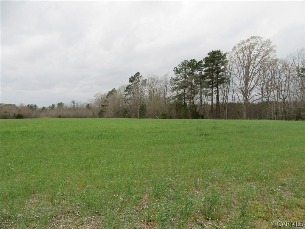 0 White Oak Road Ford, VA 23850 - Photo 2 of 6 a view of a field of grass and trees
