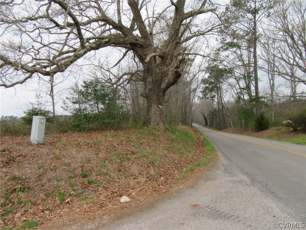 0 White Oak Road Ford, VA 23850 - Photo 3 of 6 a backyard of a house with lots of green space