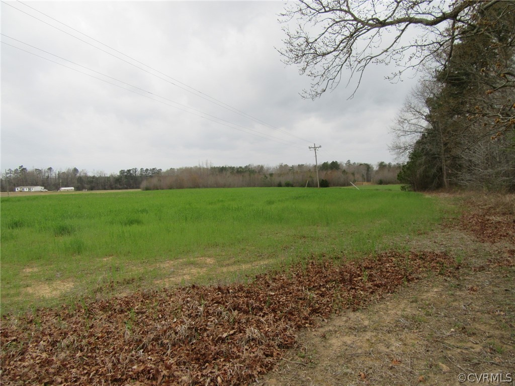0 White Oak Road Ford, VA 23850 - Photo 5 of 6 a view of a field with an trees