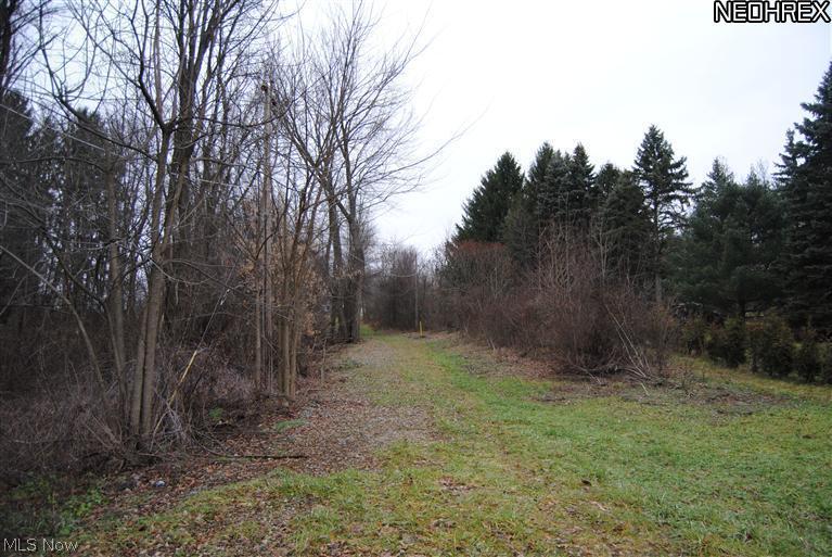 Baughman Road Clinton, OH 44216 - Photo 4 of 5 Gallery Image 4