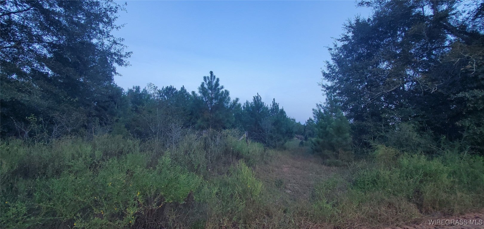 725 Dock Wilson Road Samson, AL 36477 - Photo 11 of 12 Gallery Image 11
